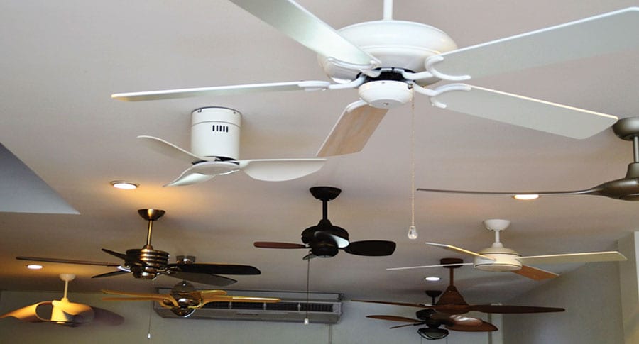 A Crowd of Fans of all Colours, Shapes and Sizes; but Not Fans of the ...