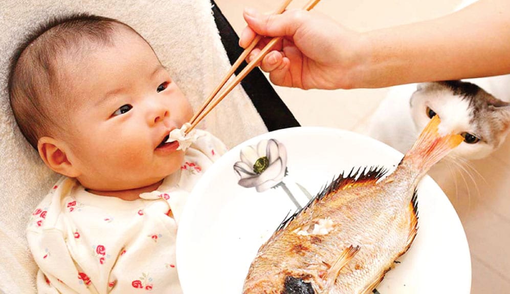 Eating Fish is Linked to Better Sleep and a Higher I.Q. for Kids - Hua ...