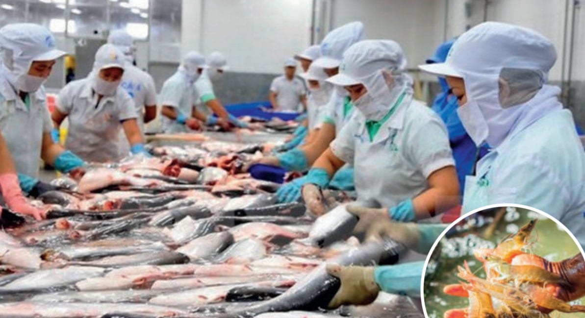 Raising the standard of Thai Aquatic Products